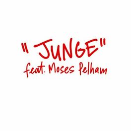 Album cover of Junge (feat. Moses Pelham)