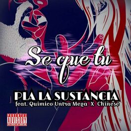 Album cover of Se Que Tu