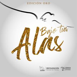 Album cover of Bajo Tus Alas (Edición Oro)