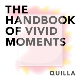 Album picture of The Handbook of Vivid Moments
