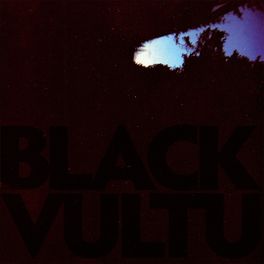 Album cover of Black Vultures
