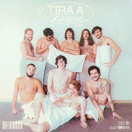 Album cover of Tira a Roupa