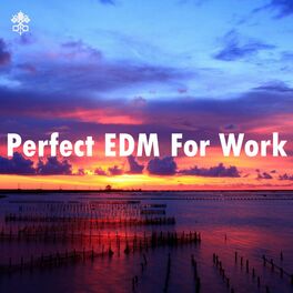 Album cover of Perfect EDM For Work