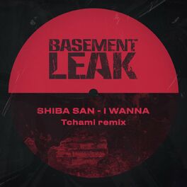 Album cover of I Wanna (Tchami Remix)