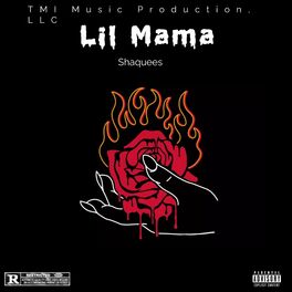 Album cover of Lil Mama