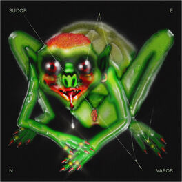 Album cover of Sudor En Vapor