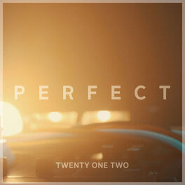 Album cover of Perfect