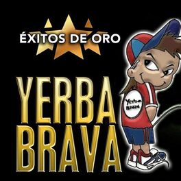 Album cover of Éxitos de Oro
