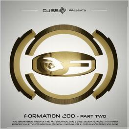 Album cover of DJ SS Presents: Formation 200, Pt. 2