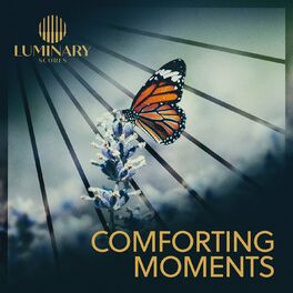 Album cover of Comforting Moments