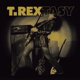 Album cover of T Rextasy