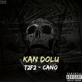 Album cover of Kan Dolu