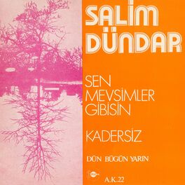 Album cover of Sen Mevsimler Gibisin / Kadersiz