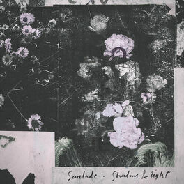 Album cover of Shadows & Light