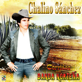 Album cover of Corridos Con Banda Norteña