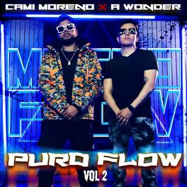 Album cover of Puro Flow (Vol. 2)