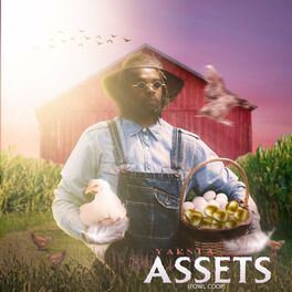 Album cover of Assets (Fowl Coop)
