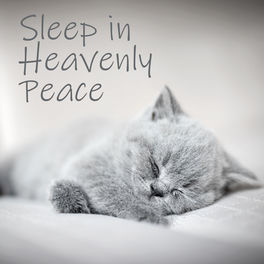 Sleeping Music Zone Sleep In Heavenly Peace Nature Background Music To Help You Fall Asleep Quickly And Easily Lyrics And Songs Deezer
