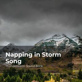 Album cover of Napping in Storm Song