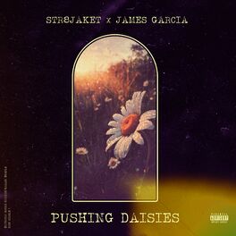 Album cover of Pushing Daisies