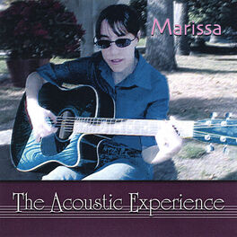Album cover of The Acoustic Experience