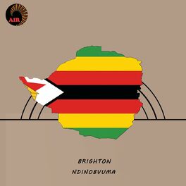 Album cover of Ndinobvuma