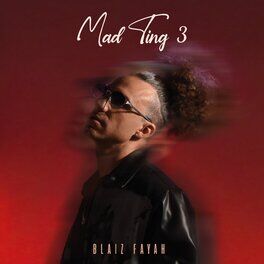Album cover of Mad Ting 3