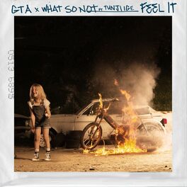 Album cover of Feel It (feat. Tunji Ige)