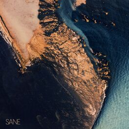 Album cover of Sane