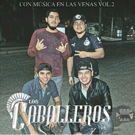 Album cover of Con Musica En Las Venas Vol. 2
