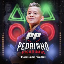Album cover of O Sucesso dos Paredões