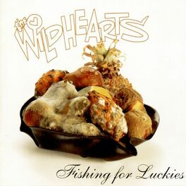 Album cover of Fishing For Luckies (Extended Version)