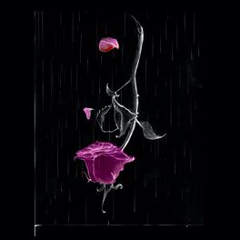 Album cover of Por Nós Dois