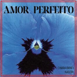 Album cover of Amor Perfeito