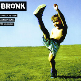 Album cover of Bronk