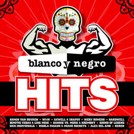 Album cover of Blanco Y Negro Music Hits