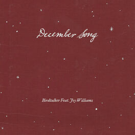 Album cover of December Song