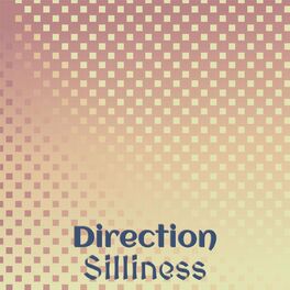 Album cover of Direction Silliness