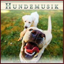 Album cover of Hundemusik: Ambient-Musik für Hunde und Beste Haustiermusik