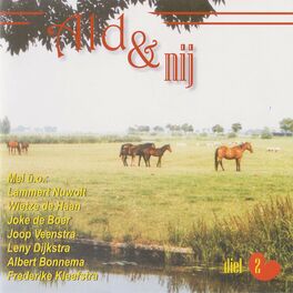 Album cover of Ald & Nij Diel 2
