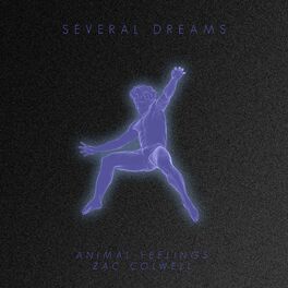 Album cover of Several Dreams