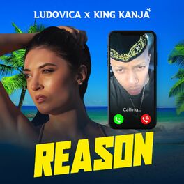 Album cover of Reason