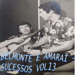 Album cover of Sucessos, Vol. 13