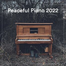 Album cover of Peaceful Piano Songs