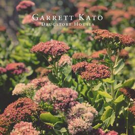 Album cover of Drugstore Houses