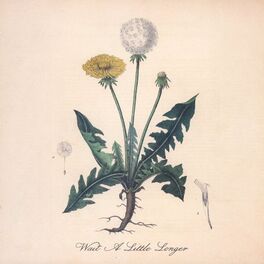 Album cover of Wait A Little Longer