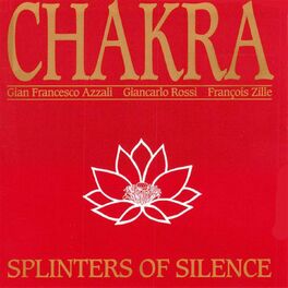 Album cover of Splinters of silence