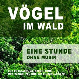 Album cover of Vögel im Wald zur Entspannung, Beruhigung, Meditation, Zen und als Einschlafhilfe (Ohne Musik)