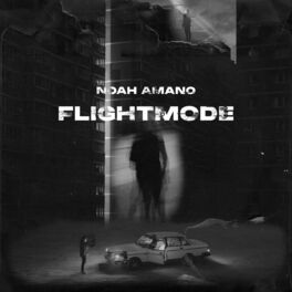 Album cover of Flightmode