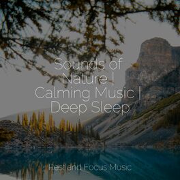 Album cover of Sounds of Nature | Calming Music | Deep Sleep